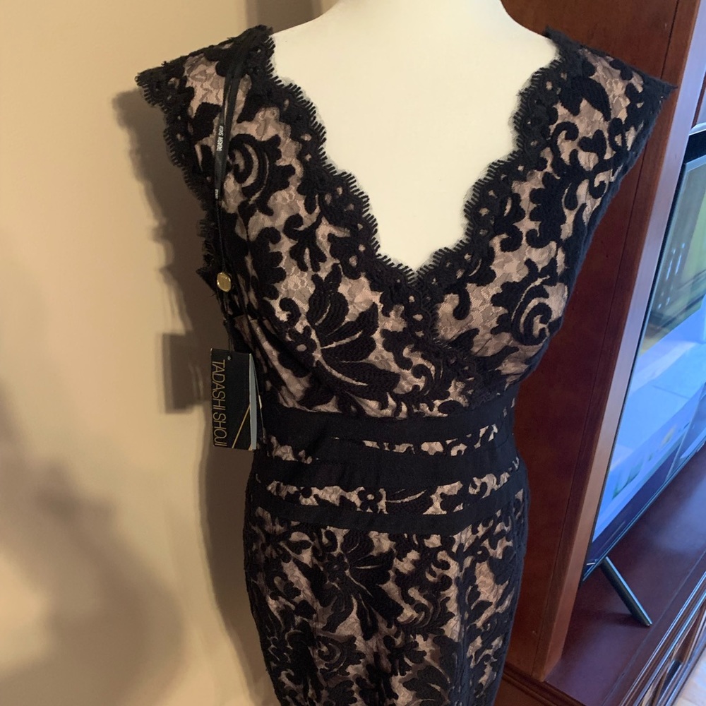 ** PERFECT FOR THE HOLIDAYS ** beautiful Tadashi Shoji lace and nude dress
